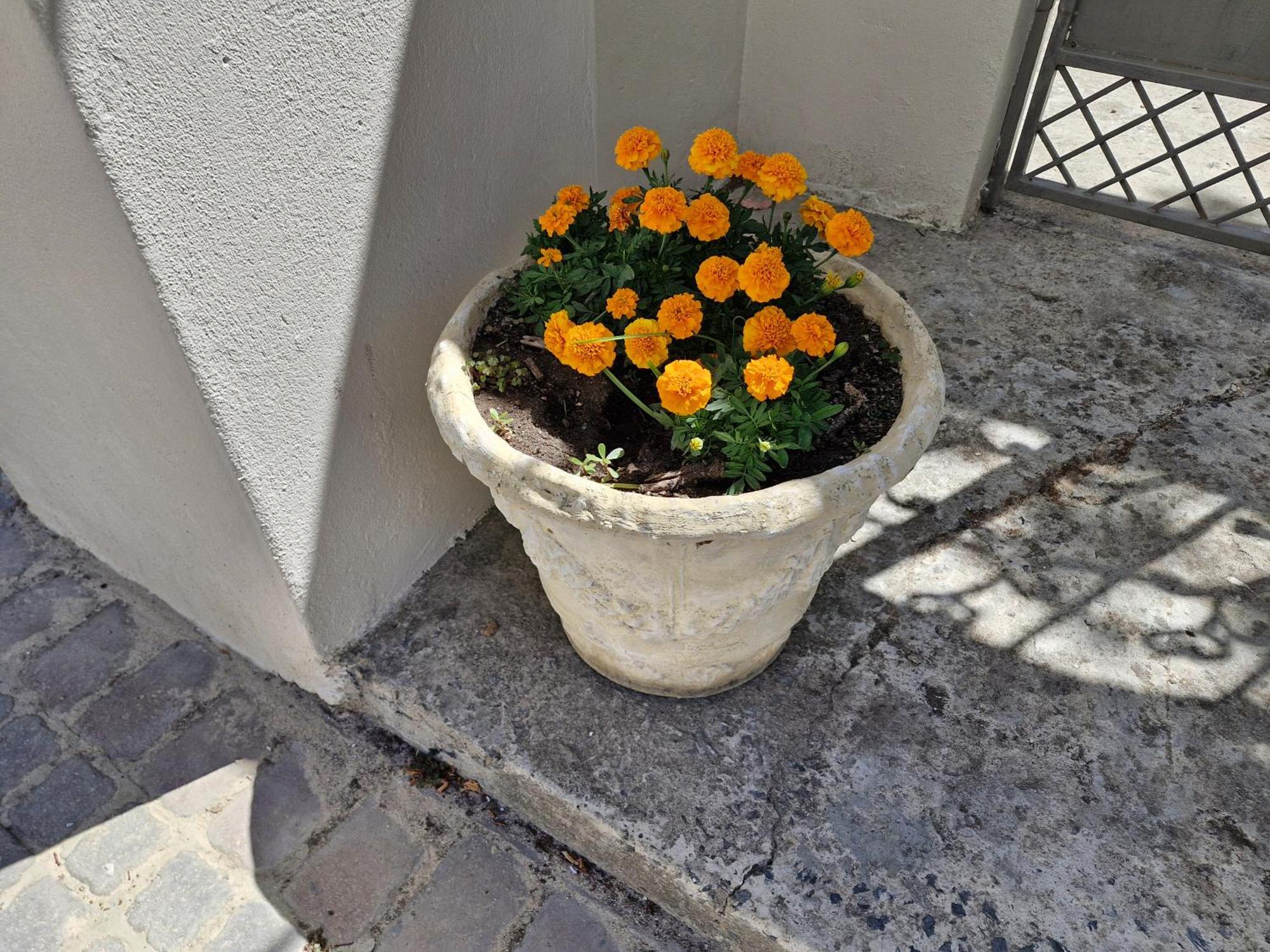 The Botanical House Apartment Somerset West Exterior photo
